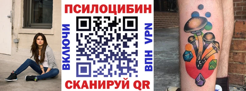 Псилоцибиновые грибы GOLDEN TEACHER  где купить   Гусиноозёрск 