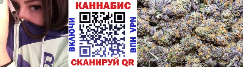 Бошки марихуана планчик  Гусиноозёрск 